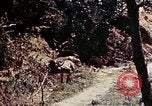 Image of 1st Battalion 4th Marines Okinawa Ryukyu Islands, 1945, second 37 stock footage video 65675052863