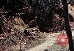 Image of 1st Battalion 4th Marines Okinawa Ryukyu Islands, 1945, second 40 stock footage video 65675052863