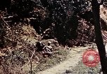 Image of 1st Battalion 4th Marines Okinawa Ryukyu Islands, 1945, second 41 stock footage video 65675052863