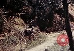 Image of 1st Battalion 4th Marines Okinawa Ryukyu Islands, 1945, second 43 stock footage video 65675052863