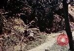 Image of 1st Battalion 4th Marines Okinawa Ryukyu Islands, 1945, second 44 stock footage video 65675052863