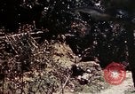 Image of 1st Battalion 4th Marines Okinawa Ryukyu Islands, 1945, second 47 stock footage video 65675052863