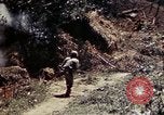 Image of 1st Battalion 4th Marines Okinawa Ryukyu Islands, 1945, second 55 stock footage video 65675052863