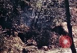 Image of 1st Battalion 4th Marines Okinawa Ryukyu Islands, 1945, second 12 stock footage video 65675052864