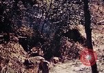 Image of 1st Battalion 4th Marines Okinawa Ryukyu Islands, 1945, second 17 stock footage video 65675052864