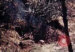 Image of 1st Battalion 4th Marines Okinawa Ryukyu Islands, 1945, second 20 stock footage video 65675052864
