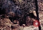 Image of 1st Battalion 4th Marines Okinawa Ryukyu Islands, 1945, second 26 stock footage video 65675052864