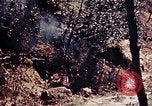 Image of 1st Battalion 4th Marines Okinawa Ryukyu Islands, 1945, second 27 stock footage video 65675052864