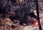 Image of 1st Battalion 4th Marines Okinawa Ryukyu Islands, 1945, second 29 stock footage video 65675052864