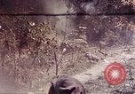 Image of 1st Battalion 4th Marines Okinawa Ryukyu Islands, 1945, second 33 stock footage video 65675052864
