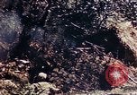 Image of 1st Battalion 4th Marines Okinawa Ryukyu Islands, 1945, second 43 stock footage video 65675052864