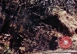 Image of 1st Battalion 4th Marines Okinawa Ryukyu Islands, 1945, second 46 stock footage video 65675052864