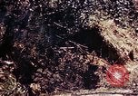Image of 1st Battalion 4th Marines Okinawa Ryukyu Islands, 1945, second 47 stock footage video 65675052864
