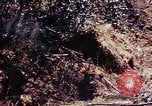 Image of 1st Battalion 4th Marines Okinawa Ryukyu Islands, 1945, second 52 stock footage video 65675052864