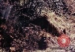Image of 1st Battalion 4th Marines Okinawa Ryukyu Islands, 1945, second 53 stock footage video 65675052864