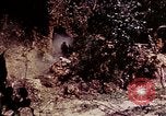 Image of 1st Battalion 4th Marines Okinawa Ryukyu Islands, 1945, second 59 stock footage video 65675052864