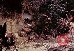 Image of 1st Battalion 4th Marines Okinawa Ryukyu Islands, 1945, second 61 stock footage video 65675052864