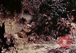 Image of 1st Battalion 4th Marines Okinawa Ryukyu Islands, 1945, second 62 stock footage video 65675052864