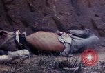 Image of United States Marines Okinawa Ryukyu Islands, 1945, second 42 stock footage video 65675052866