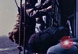 Image of 1st Marine Regiment Okinawa Ryukyu Islands, 1945, second 15 stock footage video 65675052867