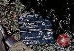 Image of 6th Marine Division 1st Battalion 4th Marines Okinawa Ryukyu Islands, 1945, second 1 stock footage video 65675052868
