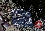 Image of 6th Marine Division 1st Battalion 4th Marines Okinawa Ryukyu Islands, 1945, second 3 stock footage video 65675052868