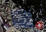 Image of 6th Marine Division 1st Battalion 4th Marines Okinawa Ryukyu Islands, 1945, second 4 stock footage video 65675052868