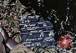Image of 6th Marine Division 1st Battalion 4th Marines Okinawa Ryukyu Islands, 1945, second 5 stock footage video 65675052868