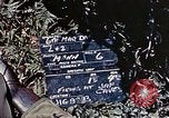 Image of 6th Marine Division 1st Battalion 4th Marines Okinawa Ryukyu Islands, 1945, second 6 stock footage video 65675052868