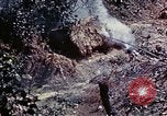 Image of 6th Marine Division 1st Battalion 4th Marines Okinawa Ryukyu Islands, 1945, second 19 stock footage video 65675052868