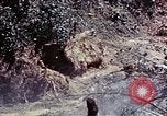 Image of 6th Marine Division 1st Battalion 4th Marines Okinawa Ryukyu Islands, 1945, second 33 stock footage video 65675052868