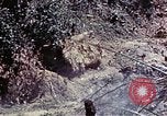 Image of 6th Marine Division 1st Battalion 4th Marines Okinawa Ryukyu Islands, 1945, second 36 stock footage video 65675052868