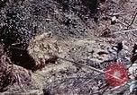 Image of 6th Marine Division 1st Battalion 4th Marines Okinawa Ryukyu Islands, 1945, second 41 stock footage video 65675052868