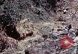 Image of 6th Marine Division 1st Battalion 4th Marines Okinawa Ryukyu Islands, 1945, second 42 stock footage video 65675052868