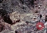 Image of 6th Marine Division 1st Battalion 4th Marines Okinawa Ryukyu Islands, 1945, second 43 stock footage video 65675052868