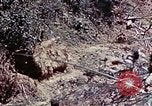 Image of 6th Marine Division 1st Battalion 4th Marines Okinawa Ryukyu Islands, 1945, second 47 stock footage video 65675052868