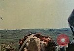 Image of 1st Marines 2nd Battalion Okinawa Ryukyu Islands, 1945, second 20 stock footage video 65675052869