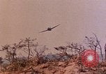 Image of 1st Marines 2nd Battalion Okinawa Ryukyu Islands, 1945, second 7 stock footage video 65675052871