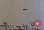 Image of 1st Marines 2nd Battalion Okinawa Ryukyu Islands, 1945, second 18 stock footage video 65675052871