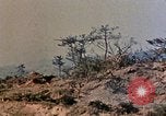 Image of 1st Marines 2nd Battalion Okinawa Ryukyu Islands, 1945, second 35 stock footage video 65675052871