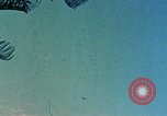Image of 1st Marines 2nd Battalion Okinawa Ryukyu Islands, 1945, second 58 stock footage video 65675052871
