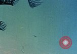 Image of 1st Marines 2nd Battalion Okinawa Ryukyu Islands, 1945, second 60 stock footage video 65675052871