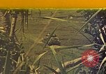 Image of 29th Marine Division Okinawa Ryukyu Islands, 1945, second 1 stock footage video 65675052876