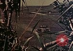 Image of 29th Marine Division Okinawa Ryukyu Islands, 1945, second 3 stock footage video 65675052876