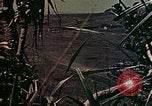 Image of 29th Marine Division Okinawa Ryukyu Islands, 1945, second 7 stock footage video 65675052876