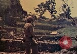 Image of 29th Marine Division Okinawa Ryukyu Islands, 1945, second 25 stock footage video 65675052876