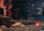 Image of 29th Marine Division Okinawa Ryukyu Islands, 1945, second 32 stock footage video 65675052876