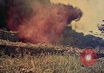 Image of 29th Marine Division Okinawa Ryukyu Islands, 1945, second 36 stock footage video 65675052876
