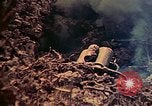 Image of 29th Marine Division Okinawa Ryukyu Islands, 1945, second 41 stock footage video 65675052876