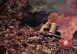 Image of 29th Marine Division Okinawa Ryukyu Islands, 1945, second 47 stock footage video 65675052876